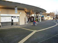 Medium_とっとり花回廊 (6)s